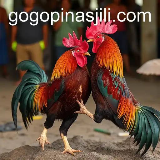 The Complex Tradition of Cockfighting: Balancing Culture and Controversy